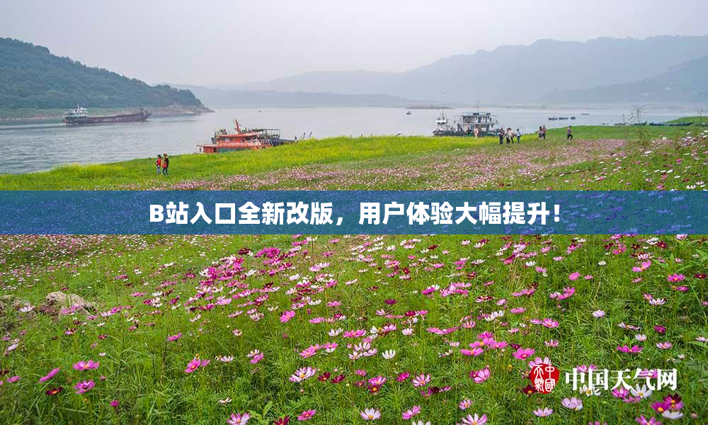 B站入口全新改版，用户体验大幅提升！