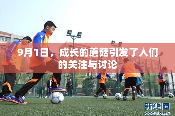 9月1日，成长的蘑菇引发了人们的关注与讨论
