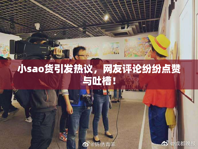 小sao货引发热议，网友评论纷纷点赞与吐槽！