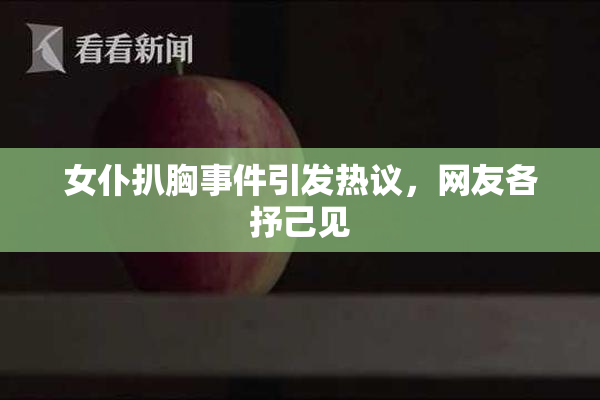 女仆扒胸事件引发热议，网友各抒己见