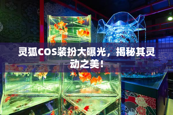 灵狐COS装扮大曝光，揭秘其灵动之美！