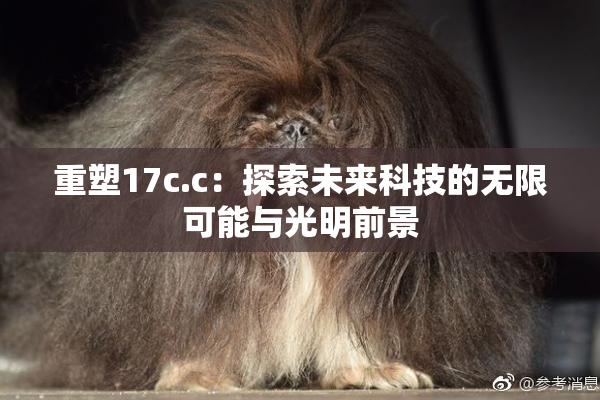 重塑17c.c：探索未来科技的无限可能与光明前景