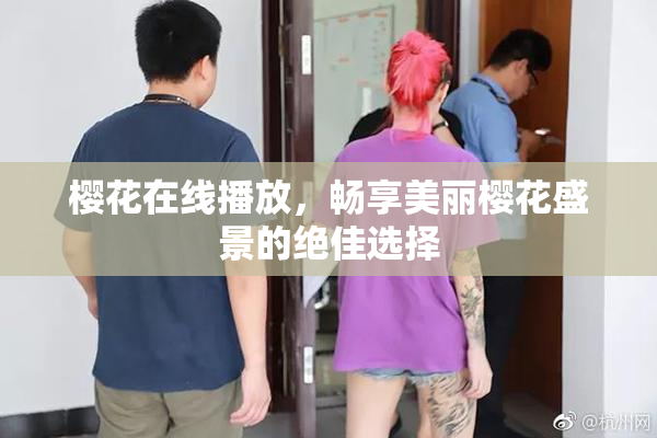 樱花在线播放，畅享美丽樱花盛景的绝佳选择