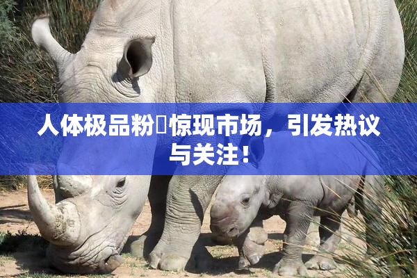 人体极品粉鮑惊现市场，引发热议与关注！