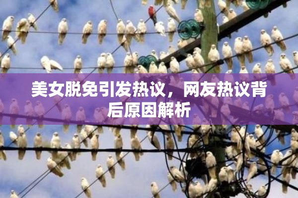 美女脱免引发热议，网友热议背后原因解析