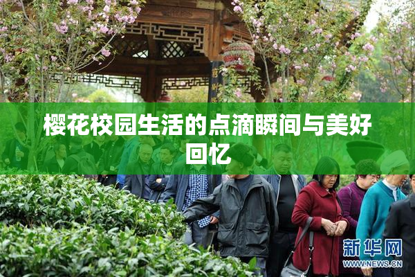 樱花校园生活的点滴瞬间与美好回忆