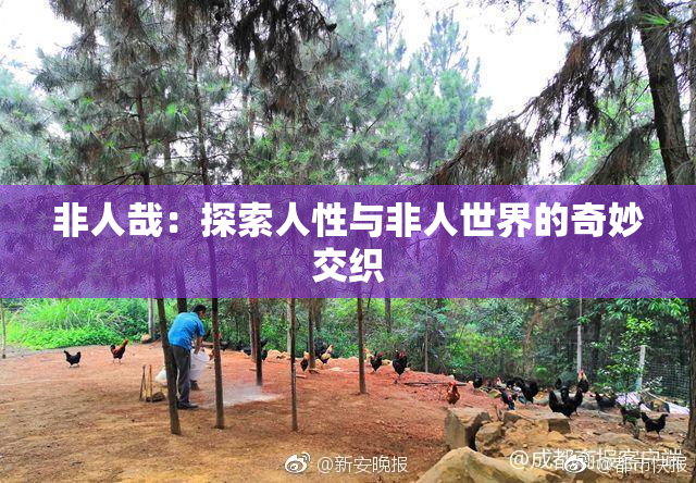 非人哉：探索人性与非人世界的奇妙交织