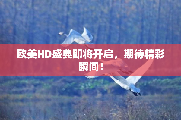 欧美HD盛典即将开启，期待精彩瞬间！