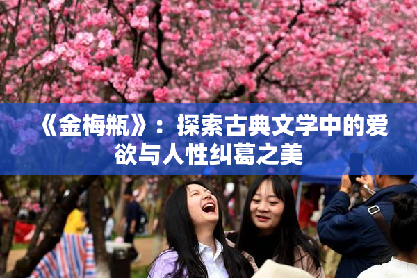 《金梅瓶》：探索古典文学中的爱欲与人性纠葛之美