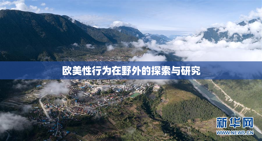 欧美性行为在野外的探索与研究