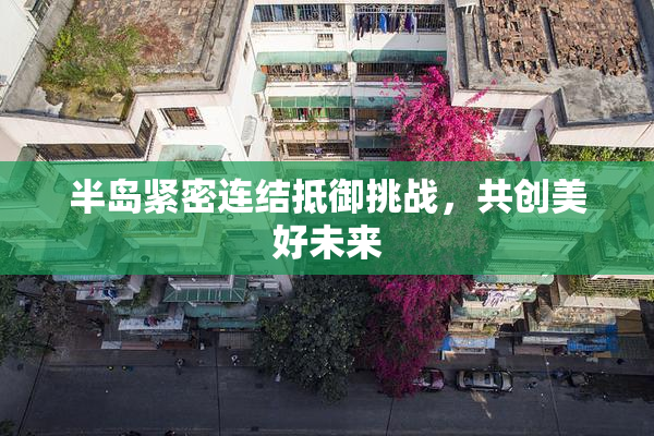 半岛紧密连结抵御挑战，共创美好未来