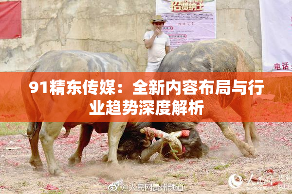 91精东传媒：全新内容布局与行业趋势深度解析