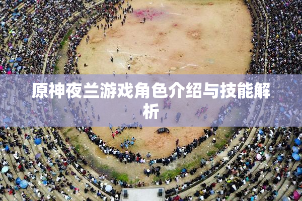 原神夜兰游戏角色介绍与技能解析