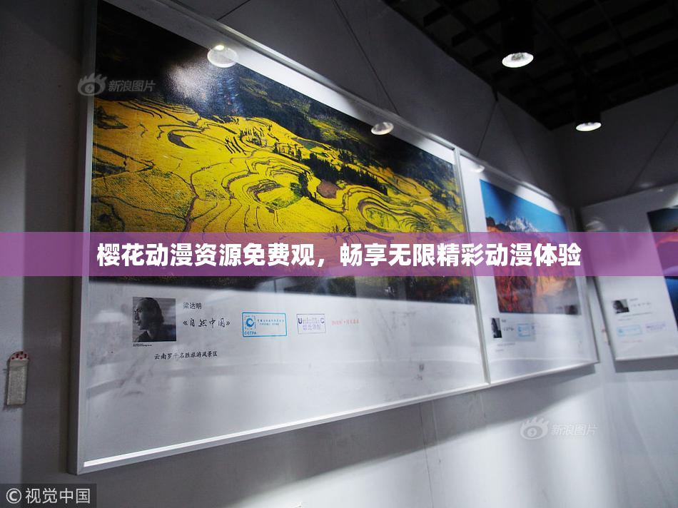 樱花动漫资源免费观，畅享无限精彩动漫体验