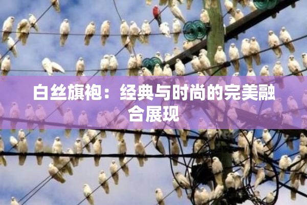 白丝旗袍：经典与时尚的完美融合展现