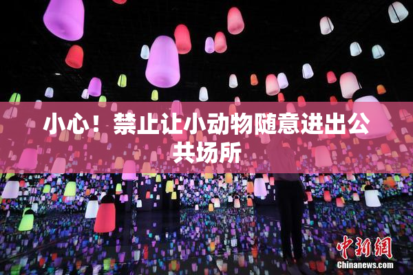 小心！禁止让小动物随意进出公共场所