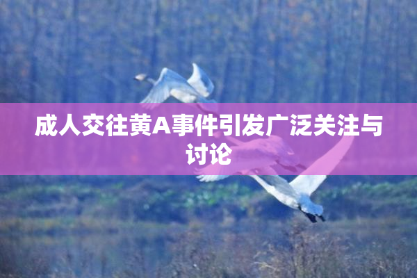 成人交往黄A事件引发广泛关注与讨论