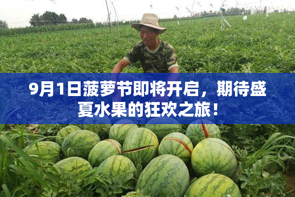 9月1日菠萝节即将开启，期待盛夏水果的狂欢之旅！
