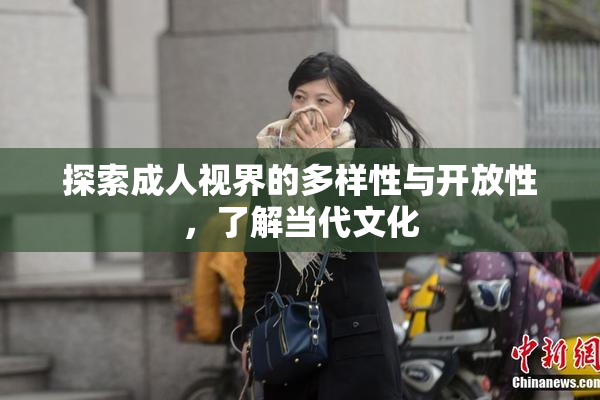 探索成人视界的多样性与开放性，了解当代文化