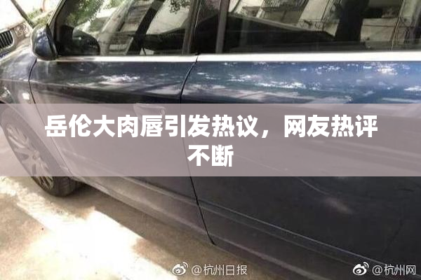 岳伦大肉唇引发热议，网友热评不断