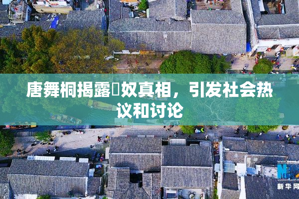 唐舞桐揭露婬奴真相，引发社会热议和讨论