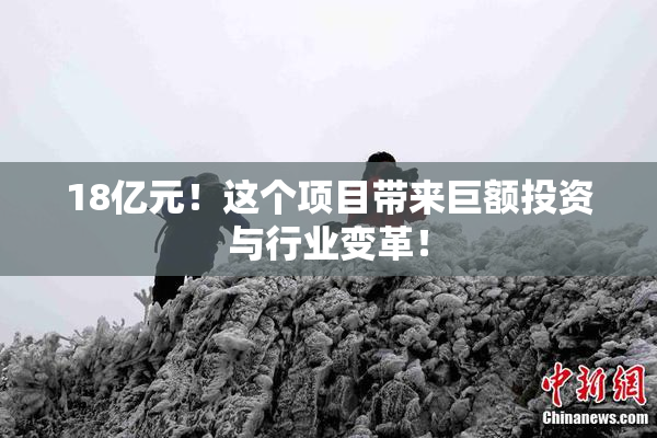 18亿元！这个项目带来巨额投资与行业变革！