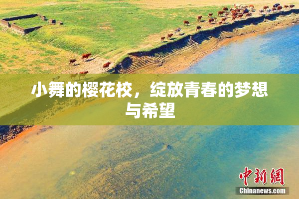 小舞的樱花校，绽放青春的梦想与希望