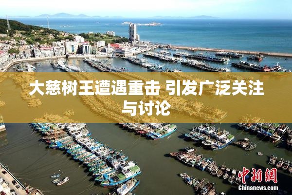 大慈树王遭遇重击 引发广泛关注与讨论