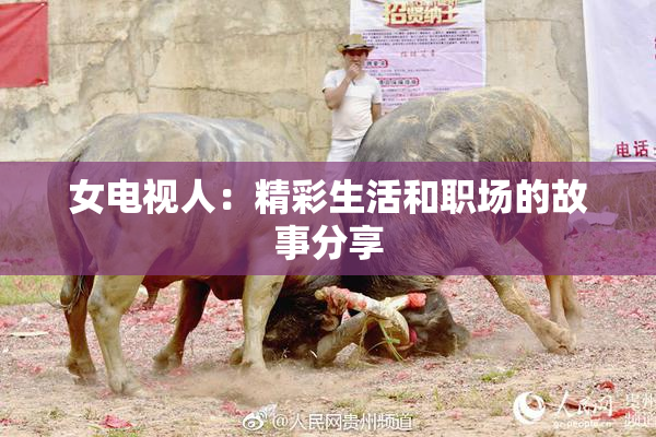 女电视人：精彩生活和职场的故事分享