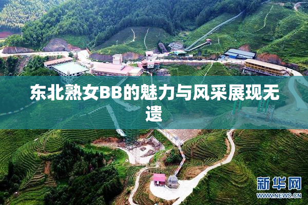 东北熟女BB的魅力与风采展现无遗