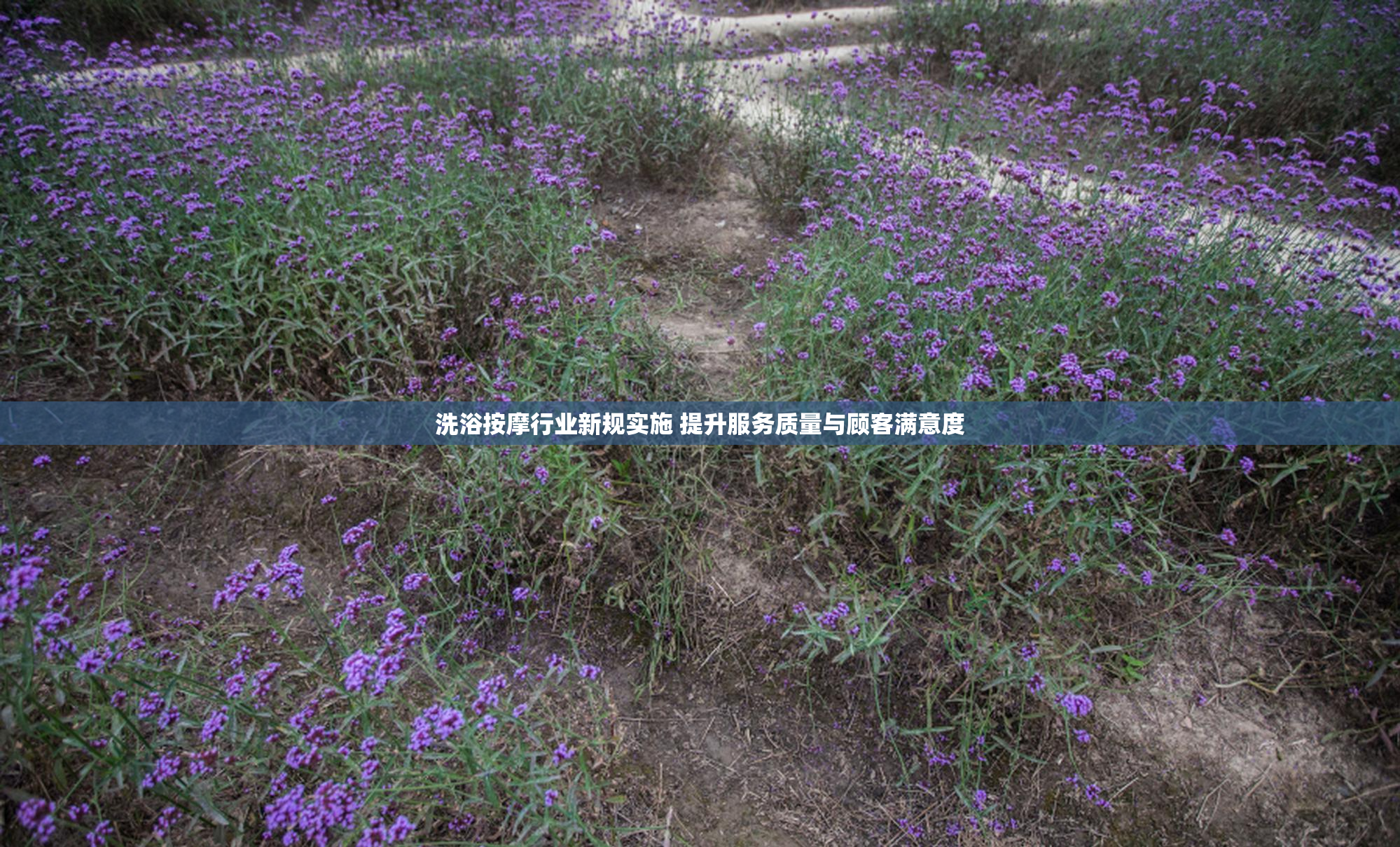 洗浴按摩行业新规实施 提升服务质量与顾客满意度