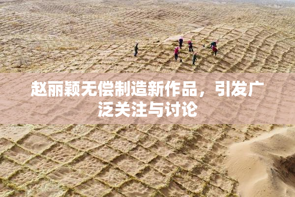 赵丽颖无偿制造新作品，引发广泛关注与讨论