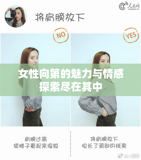 女性向第的魅力与情感探索尽在其中
