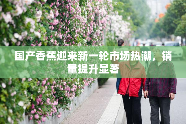 国产香蕉迎来新一轮市场热潮，销量提升显著