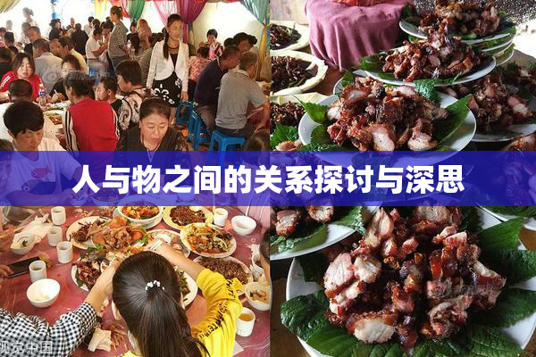 人与物之间的关系探讨与深思
