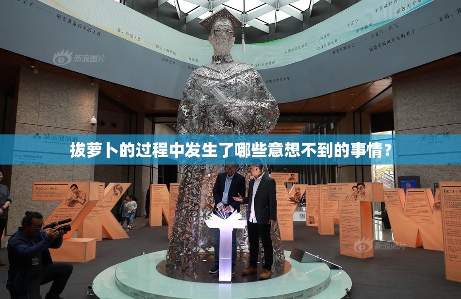 拔萝卜的过程中发生了哪些意想不到的事情？