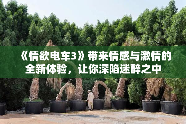 《情欲电车3》带来情感与激情的全新体验，让你深陷迷醉之中
