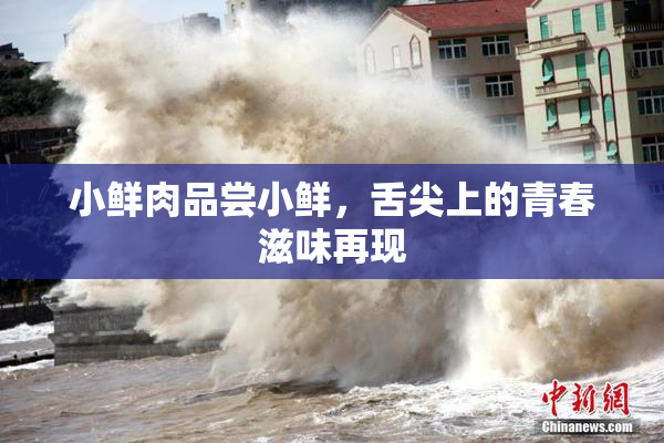 小鲜肉品尝小鲜，舌尖上的青春滋味再现