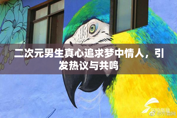 二次元男生真心追求梦中情人，引发热议与共鸣