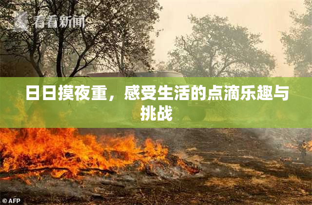 日日摸夜重，感受生活的点滴乐趣与挑战