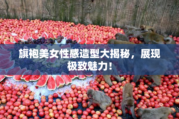 旗袍美女性感造型大揭秘，展现极致魅力！