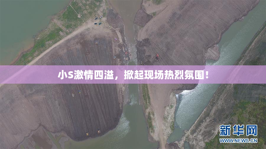小S激情四溢，掀起现场热烈氛围！