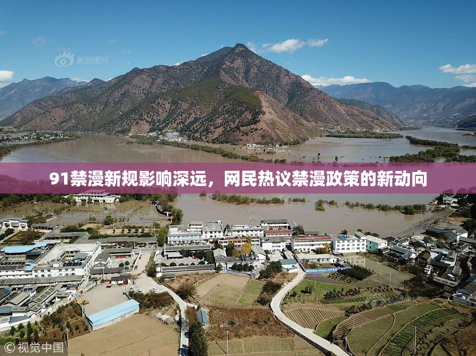 91禁漫新规影响深远，网民热议禁漫政策的新动向