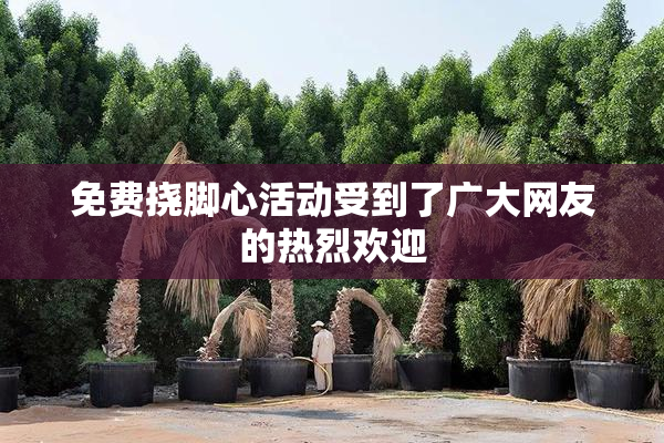 免费挠脚心活动受到了广大网友的热烈欢迎