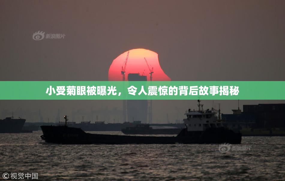 小受菊眼被曝光，令人震惊的背后故事揭秘