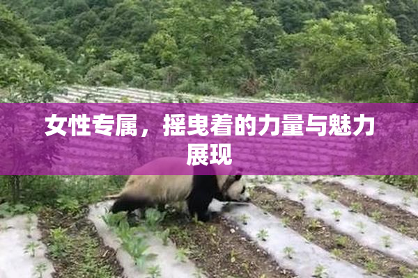 女性专属，摇曳着的力量与魅力展现