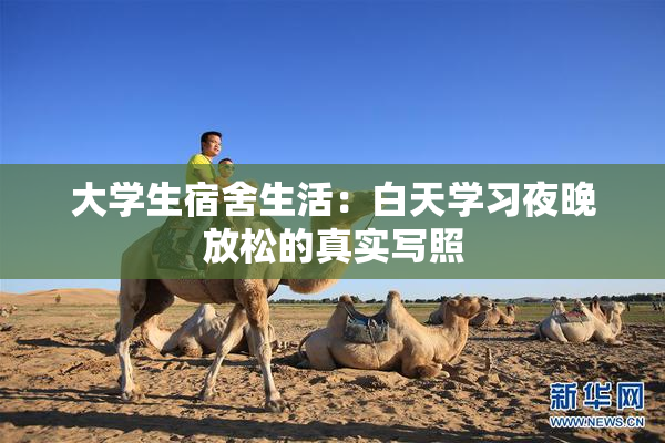 大学生宿舍生活：白天学习夜晚放松的真实写照