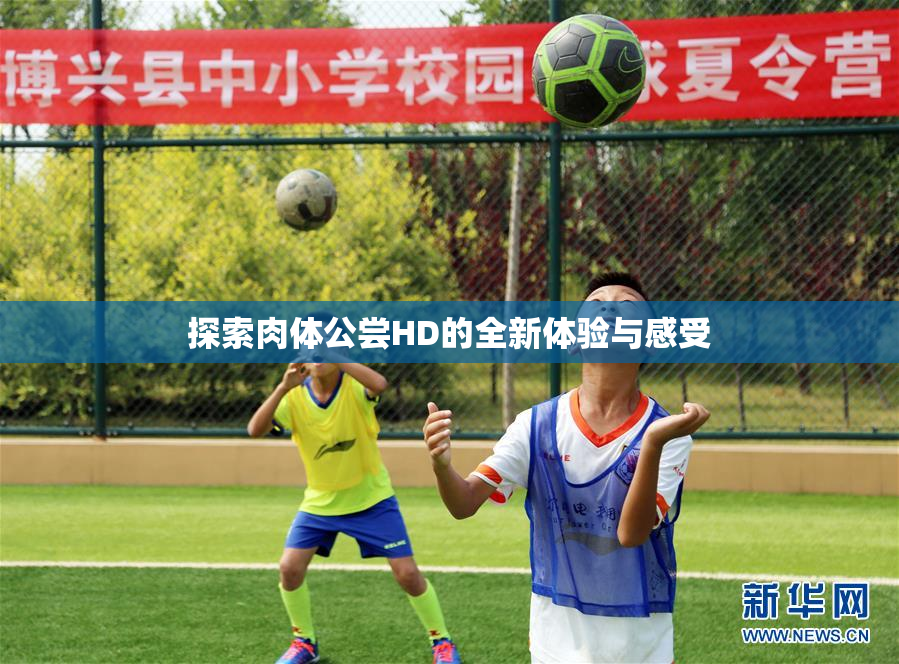 探索肉体公尝HD的全新体验与感受