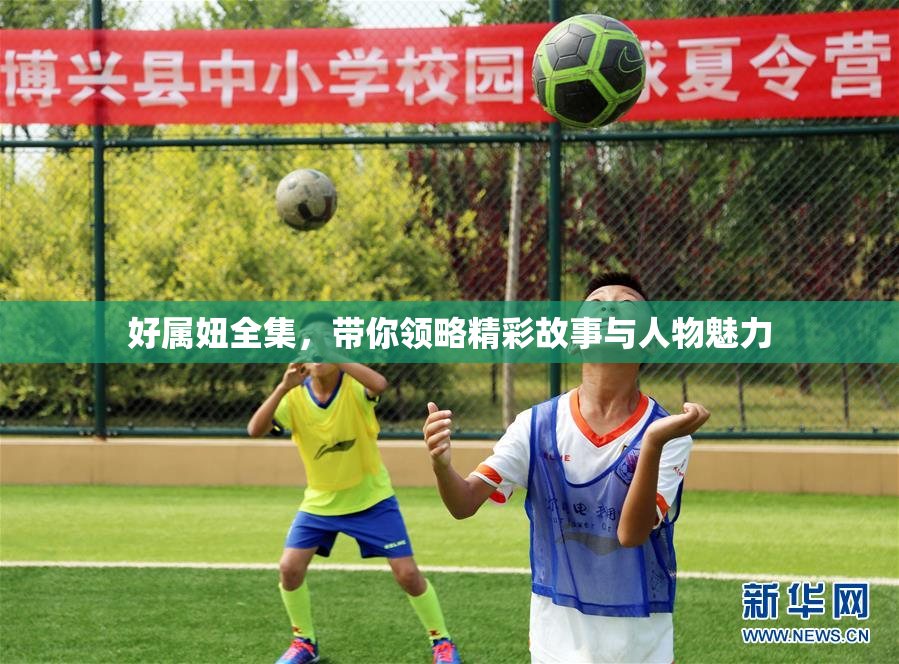 好属妞全集，带你领略精彩故事与人物魅力