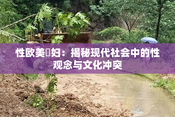 性欧美婬妇：揭秘现代社会中的性观念与文化冲突